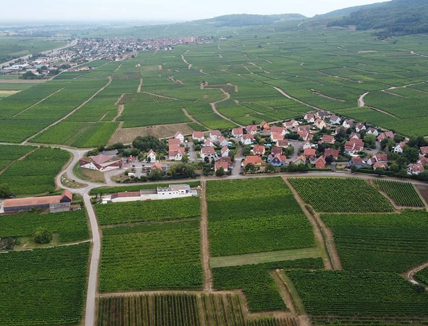 Domaine GUETH - Vins d'Alsace