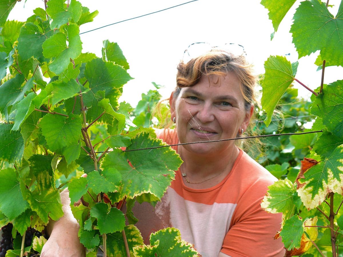 Muriel dans les vignes